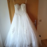 15654420952296520954027346030289