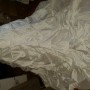 20160210_114642 20160210_114642