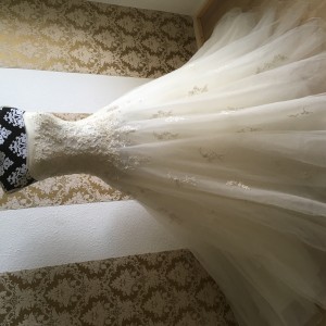 IMG_1721 IMG_1721