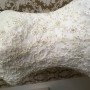 IMG_1724 IMG_1724