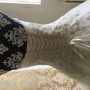 IMG_1727 IMG_1727