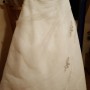 IMG_4623 IMG_4623