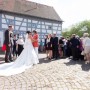 IMG_0461 IMG_0461