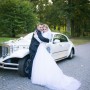IMG_0041 IMG_0041
