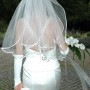 IMG_3700 IMG_3700