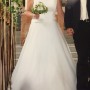 IMG_6486 IMG_6486