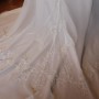 IMG_8586