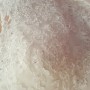 20160206_105447