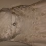 20161031_124004