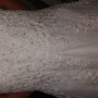 20170520_180559 20170520_180559