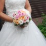DSC_0222 DSC_0222