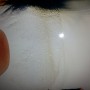 20170510_065745