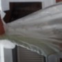 20170801_165644 20170801_165644
