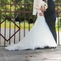 IMG_7341 IMG_7341