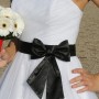 IMG_3495 IMG_3495