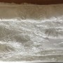 IMG_1368 IMG_1368