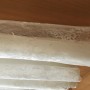 IMG_1369 IMG_1369