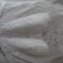 IMG_7369 IMG_7369