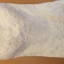 CBD18619-C478-46C9-8DD5-CA50C4800415