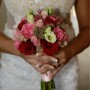 IMG-9203 IMG-9203