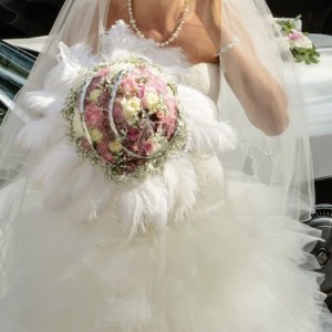 IMG-9217 IMG-9217