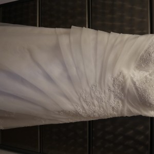 IMG_0324 IMG_0324
