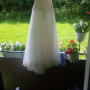 IMG_5281 IMG_5281