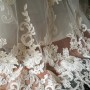 IMG_20170401_152447 IMG_20170401_152447