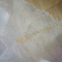 IMG_20180730_115342 IMG_20180730_115342