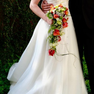 91CD0053-398D-478C-8DAE-019AFEB65171