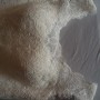 IMG-20180708-WA0026 IMG-20180708-WA0026