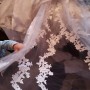 IMG_0717 IMG_0717