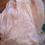 IMG_0718 IMG_0718