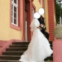 IMG_2728 IMG_2728
