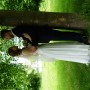 2018-05-19 Hochzeit Paola und Patrick 333 2018-05-19 Hochzeit Paola und Patrick 333
