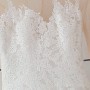 IMG_7662 IMG_7662