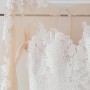 IMG_7665 IMG_7665