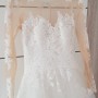 IMG_7666 IMG_7666