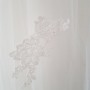 IMG_7691 IMG_7691