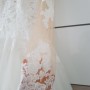 IMG_7694 IMG_7694