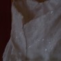 DSCN1239