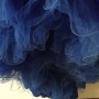 IMG_1412 IMG_1412