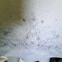 20180812_093253 20180812_093253