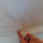 DSC05269 DSC05269