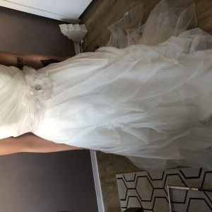 IMG_7447