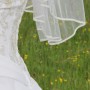 140517_Hochzeitsfotos_Carmen (30)