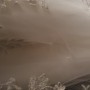 20190203_203155