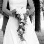 IMG-20190205-WA0006