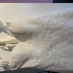 IMG_2462