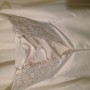 IMG_6249 IMG_6249